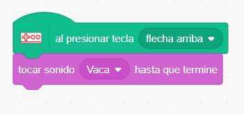 Programación