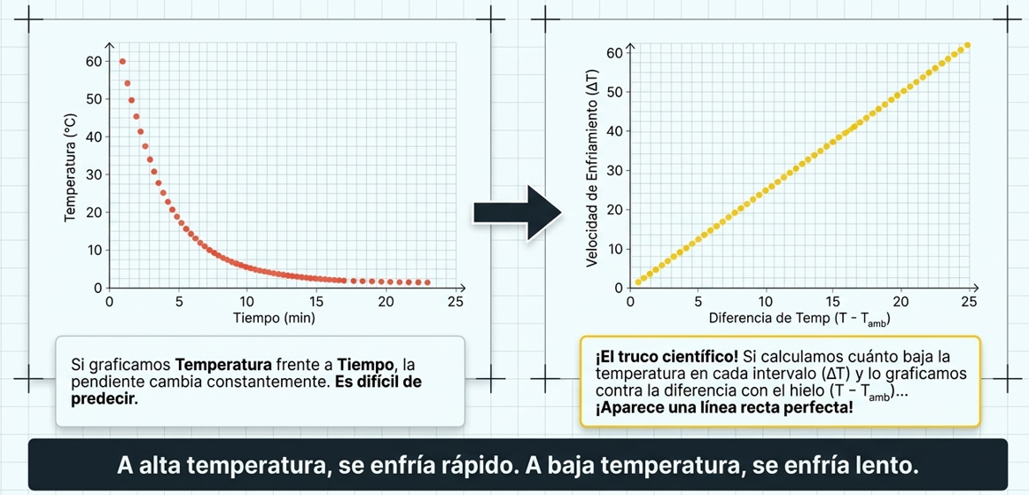 Imagen del paso SESIÓN 3: Análisis matemático, tasa de variación y deducción del modelo